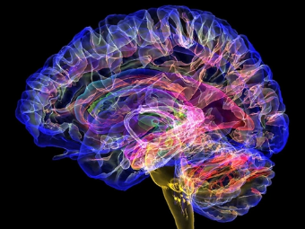 色色色色小说视频大脑植入物有助于严重头部损伤恢复